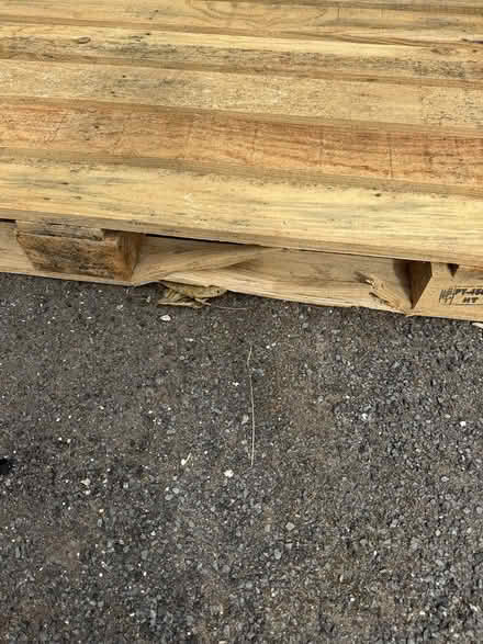 Photo of free Wooden Palette (Brent NW2) #3