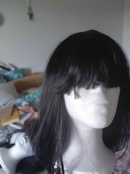 Photo of free Wig (new, never worn) (Northern va) #1