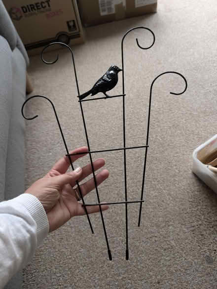 Photo of free Plant frame for climbing plants (Abingdon, OX14 3TD) #3