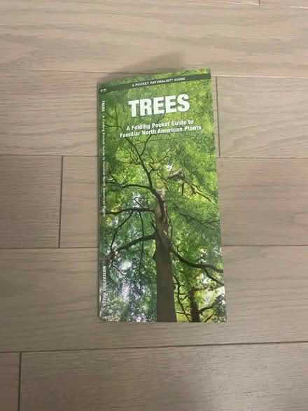 Photo of free Laminated trees guide (Kennedy/16th in Markham) #1