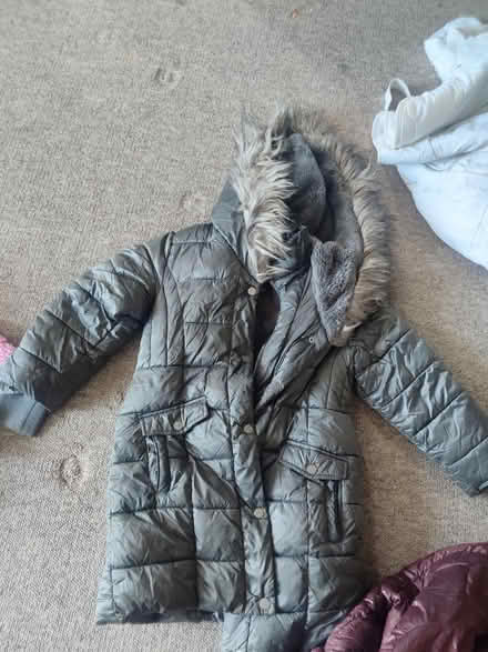 Photo of free Kids jacket (Eastbourne) #2