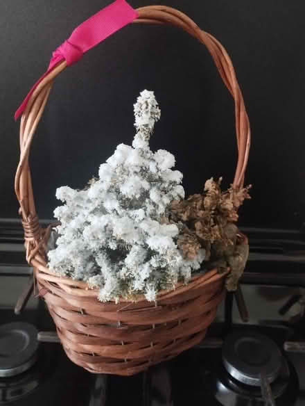 Photo of free Basket (Prenton CH43) #1