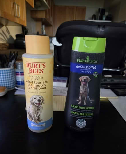 Photo of free Dog Shampoo's (Midtown, Toronto) #1