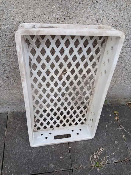 Photo of free Plastic tray (Rathmines/Ranelagh) #2