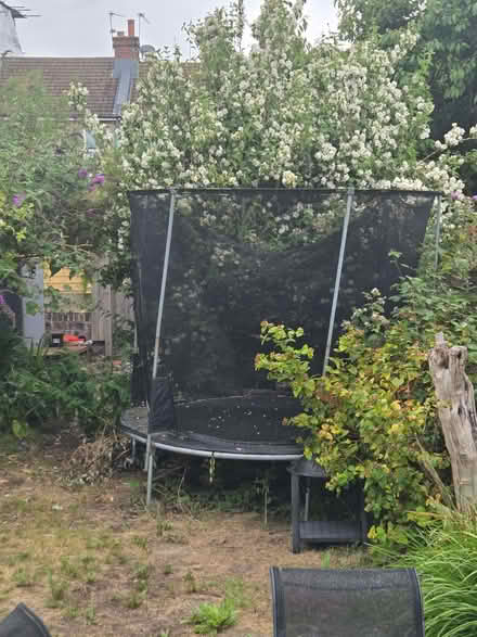 Photo of free Trampoline (Eastbourne BN21) #1