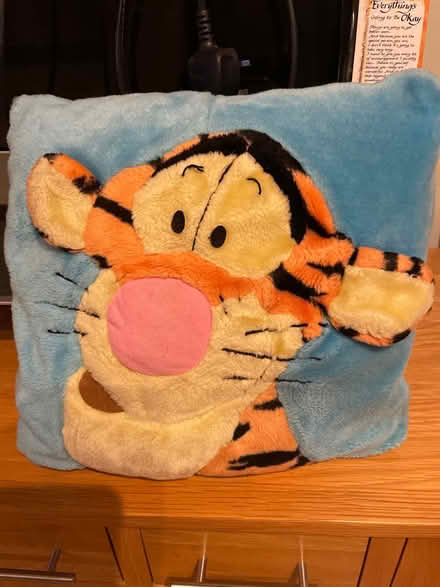 Photo of free Small cushion (Chessington KT9) #1
