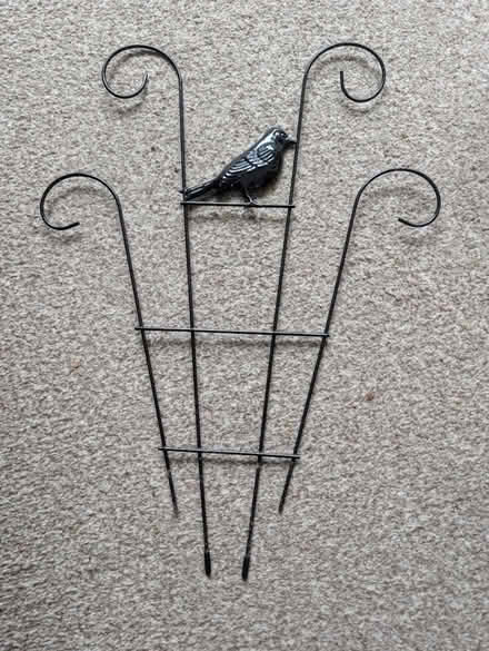 Photo of free Plant frame for climbing plants (Abingdon, OX14 3TD) #2