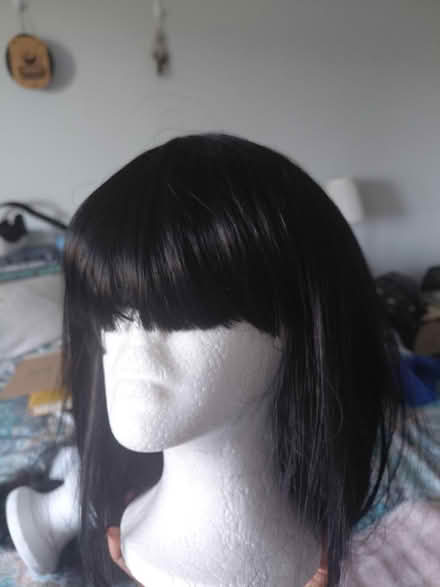Photo of free Wig (new, never worn) (Northern va) #3