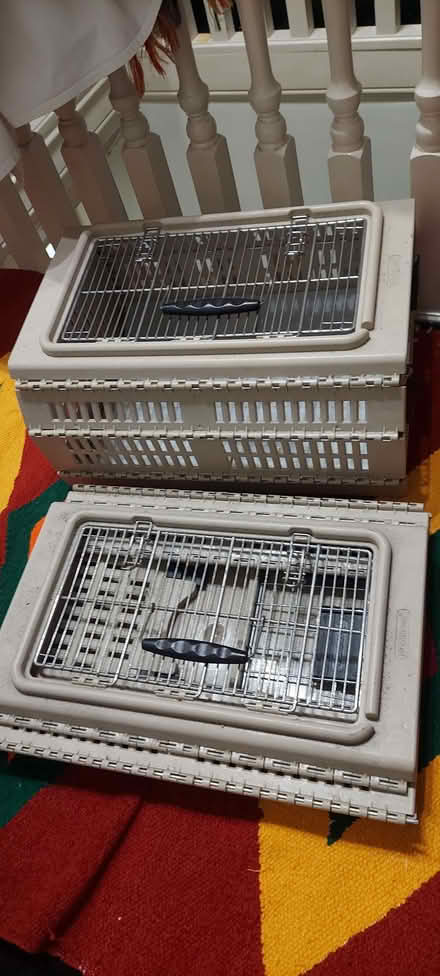 Photo of free Cat carrying boxes x2 (Kingsholm GL1) #1