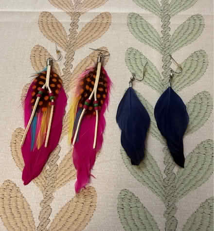 Photo of free Feather Earrings (Erin Mills&QEW) #1