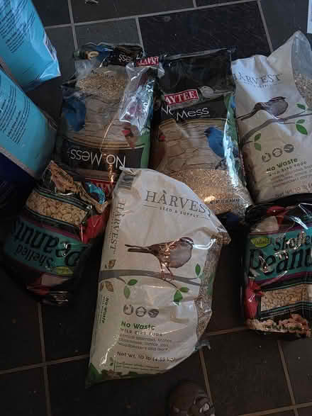 Photo of free Bird Seed (Mclean) #1