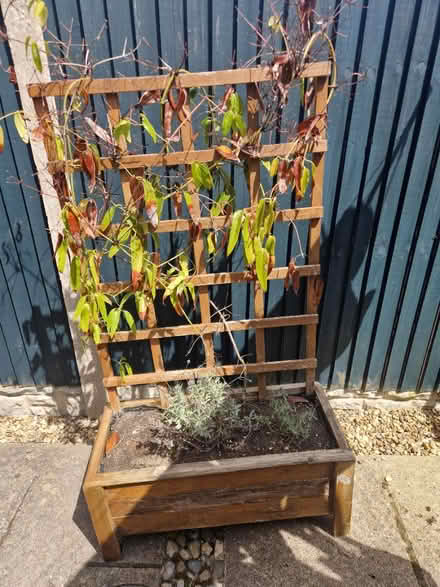 Photo of free Trough with trellis (Dussindale/Thorpe St Andrew) #1
