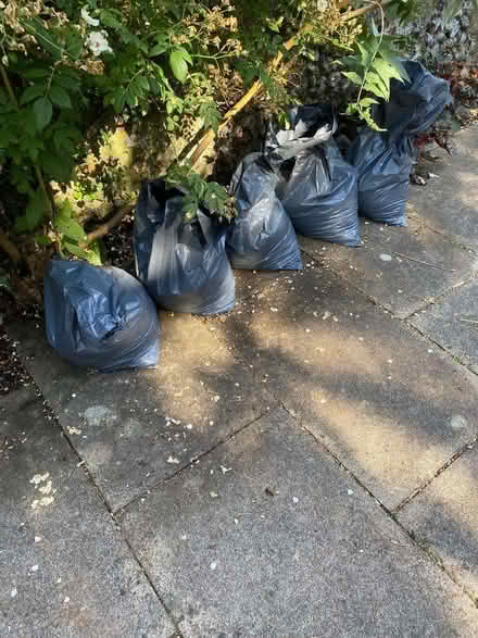 Photo of free Garden soil (Henley-on-Thames RG9) #1