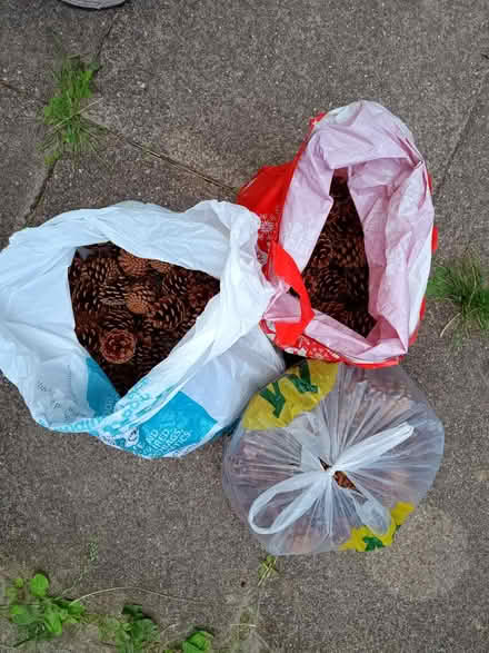 Photo of free Cones (Oswestry) #1