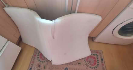 Photo of free Kapok (?) pad (west malvern) #1