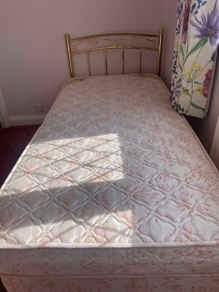 Photo of free Single bed divan with headboard (Welling DA16) #1