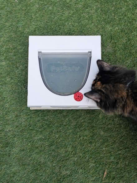 Photo of free PetSafe Staywell classic cat flap (East Ham E6) #1