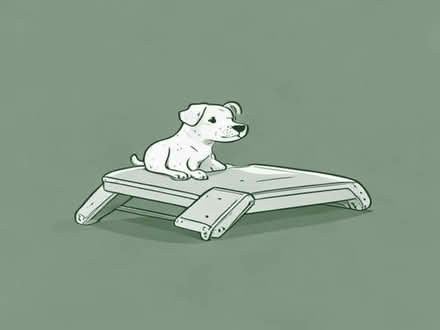 Photo of Dog ramp for car (Bransford WR6) #1