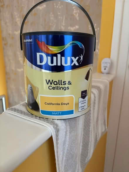 Photo of free Wall and ceiling paint (Port Talbot SA12) #1