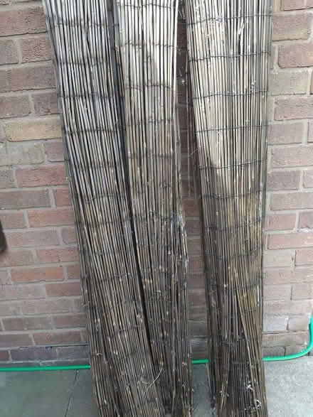 Photo of free Garden screening (Meole Brace SY3) #1