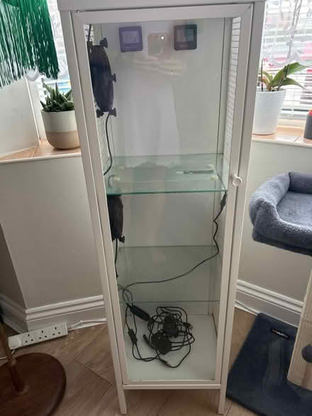 Photo of free Plants cabinet (Bognor Regis PO21) #1