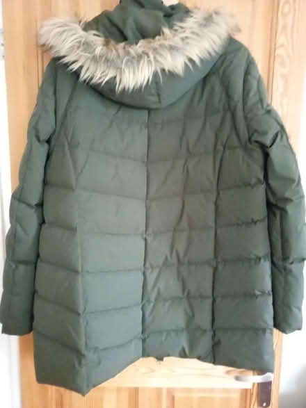 Photo of free Womens padded coat UK 20 large (Barnet EN5) #2