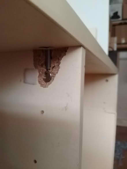 Photo of free Large unit/ cupboard (West Worthing BN11) #3
