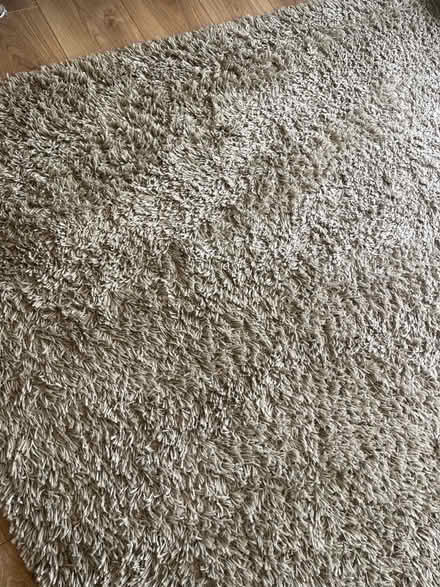 Photo of free Rug (Mold CH7) #1