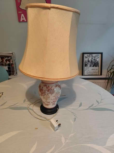 Photo of free Lamp and Shade (Manchester M19) #1