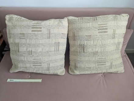 Photo of free 2 large beige cushions (Leytonstone) #1