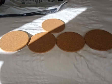 Photo of free Cork placemats (Faringdon SN7) #1