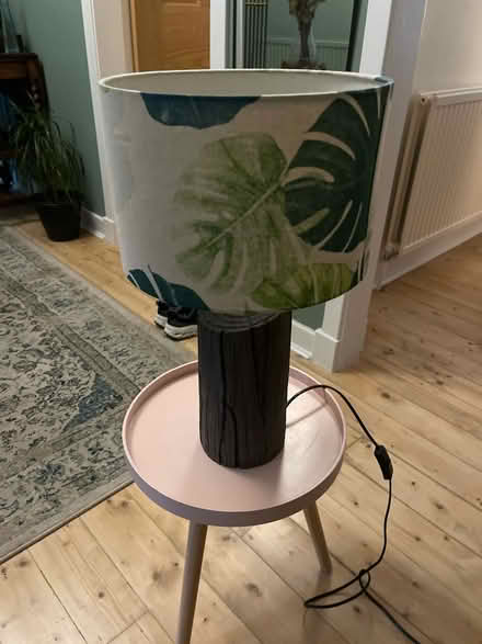 Photo of free Nature lamp (West end G3) #1