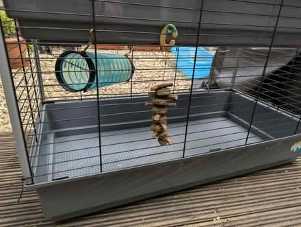 Photo of free Cage XL (Downs barn) #2