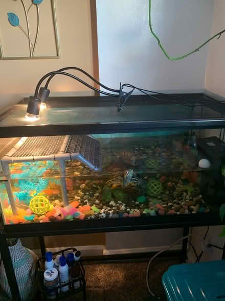 Photo of free aquarium (Lower NE section of Philly) #1