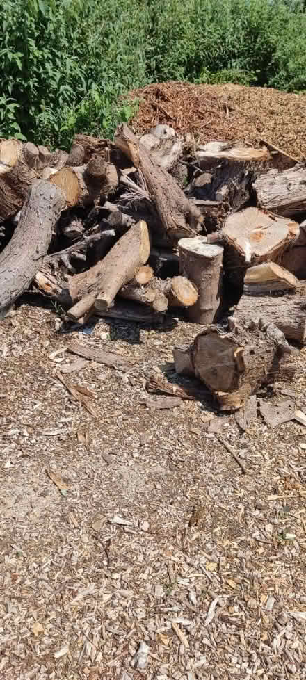Photo of free Fire wood blocks (Da1) #1