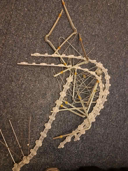 Photo of free Anti-squirrel spikes (Battle RG30) #1