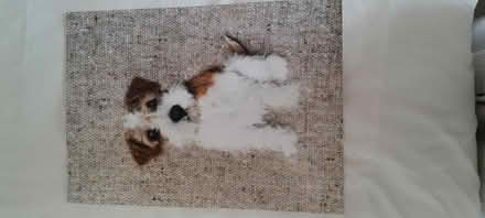 Photo of free A3 Print (Smalley Ilkeston DE7) #1
