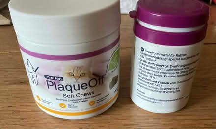 Photo of free Cat Plaque Off Powder & Treats (Congleton CW12) #1