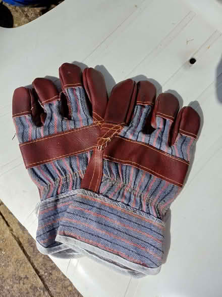 Photo of free Pair large hands size men's gardening/work gloves (Earley RG6) #1