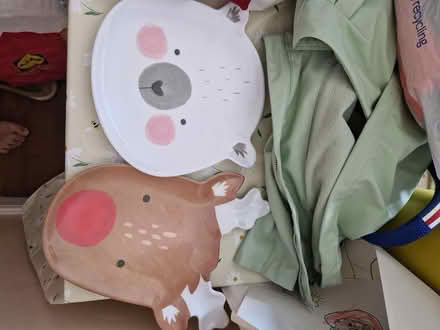 Photo of free Christmas plates (Erdington B24) #1