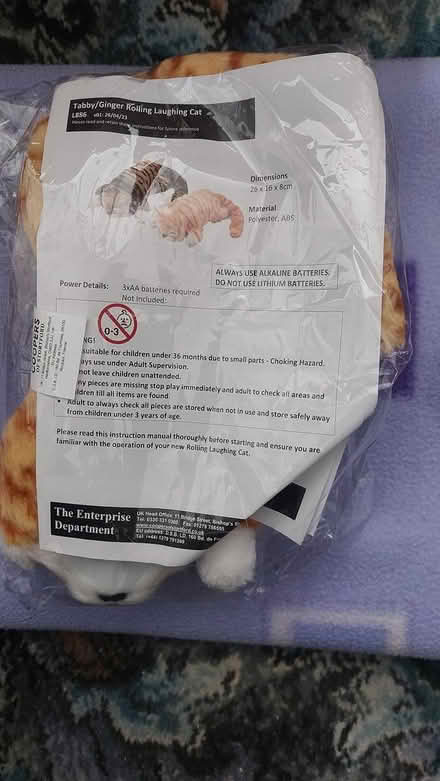 Photo of free Rolling laughing cat (dorset BH12) #1
