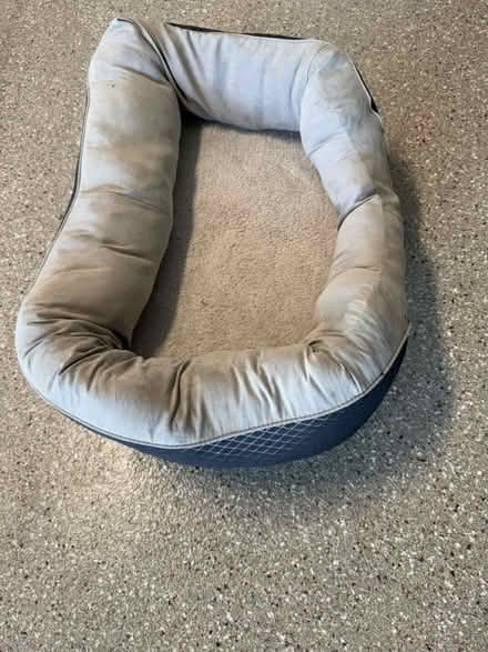 Photo of free Dog bed (North Barrington) #2