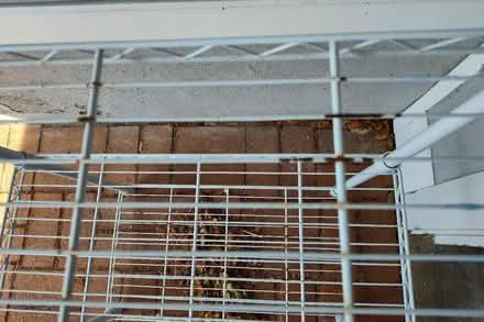 Photo of free 3-level metal storage rack (Sau) #2