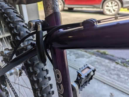 Photo of free Mountain Bike (New Paltz) #2