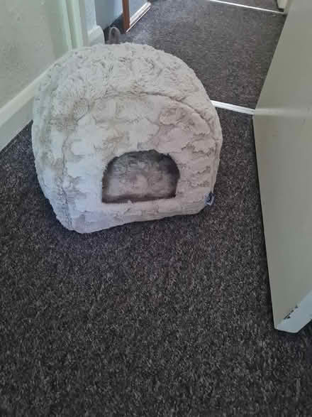 Photo of free Cat igloo (NG15) #1