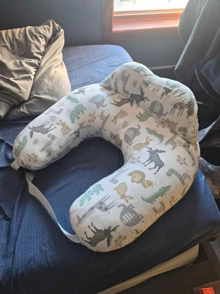 Photo of free nursing pillow with buckle (woodhaven) #1