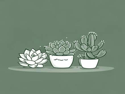 Photo of Succulents and cactus (Walsall WS2) #1