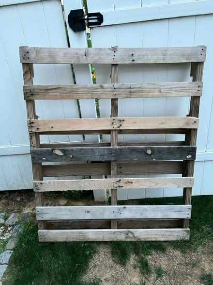 Photo of free Wood shipping pallet (Springfield) #1