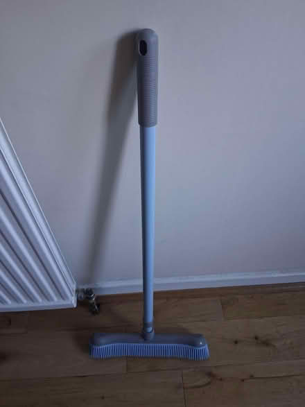 Photo of free Rubber-bristled Broom (Gleneagles area, Wboro NN8) #2