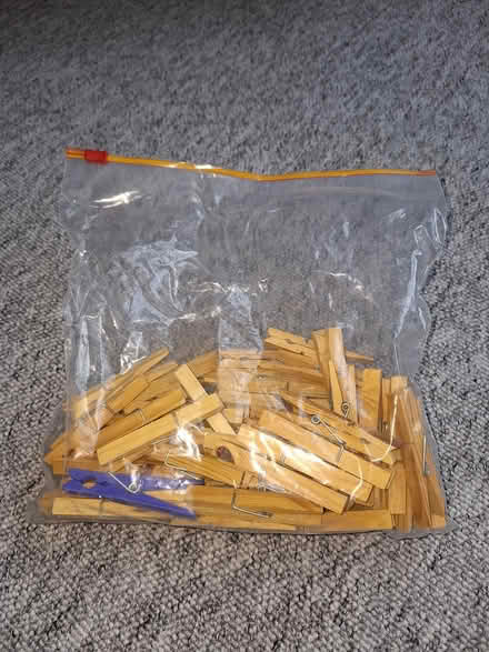Photo of free Bag of pegs (Chelmsford, CM1) #1